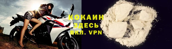прущая мука Дмитриев