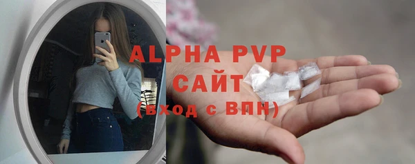 ПСИЛОЦИБИНОВЫЕ ГРИБЫ Дмитров