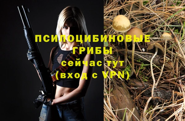 ПСИЛОЦИБИНОВЫЕ ГРИБЫ Дмитров