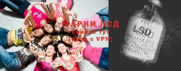 ПСИЛОЦИБИНОВЫЕ ГРИБЫ Дмитров
