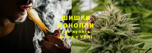 прущая мука Дмитриев