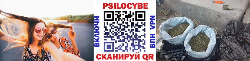 Купить  Полысаево  Галлюциногенные грибы Psilocybine cubensis 