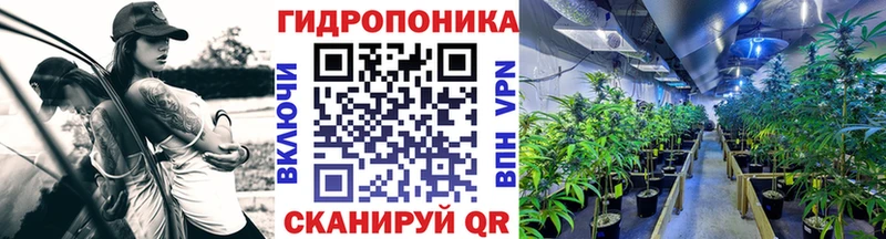 Бошки Шишки сатива  Купить где  Полысаево 
